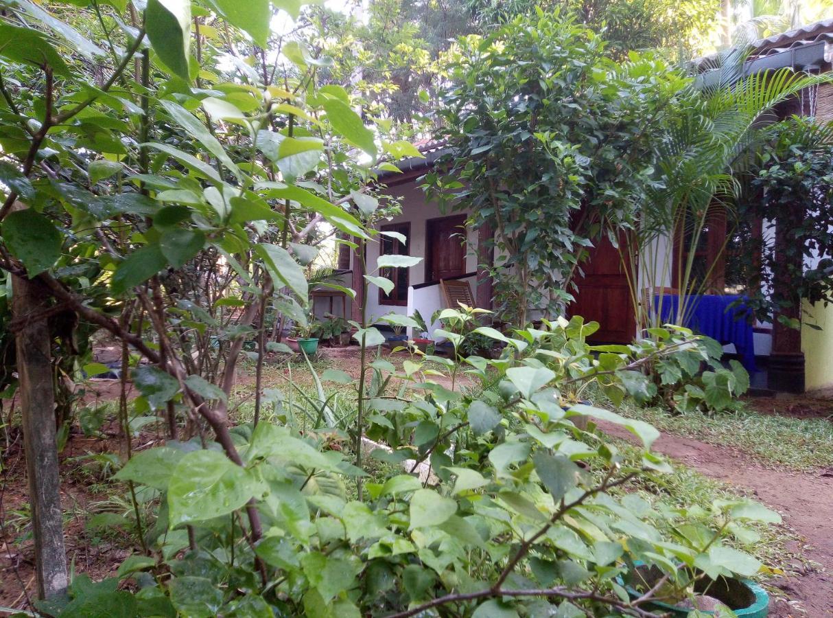 Charly'S Lodge Sigiriya Exterior foto
